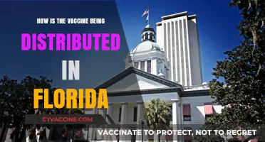 Florida's Vaccine Rollout: Distribution Strategies and Accessibility Explained