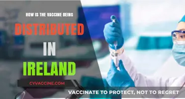 Ireland's COVID-19 Vaccine Rollout: Distribution Strategy and Priority Groups
