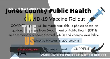 US Vaccine Rollout: Distribution Strategies and Priority Groups Explained