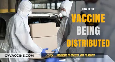 Global Vaccine Rollout: Strategies, Challenges, and Distribution Equity Explained