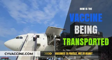 Global Vaccine Distribution: Logistics and Transportation Challenges Explained