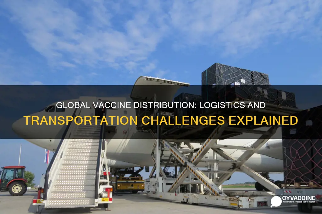 how is the vaccine being transported