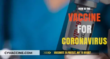 Understanding the COVID-19 Vaccine: Development, Efficacy, and Global Impact