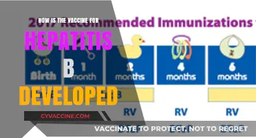 Unveiling the Science Behind Developing the Hepatitis B Vaccine