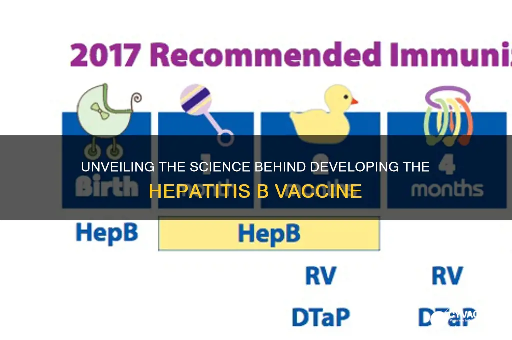 how is the vaccine for hepatitis b developed