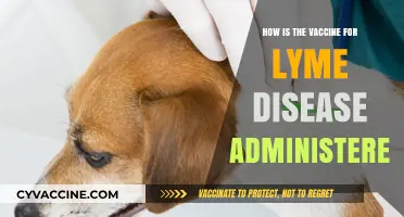 Lyme Disease Vaccine Administration: Methods, Dosage, and Patient Guidelines