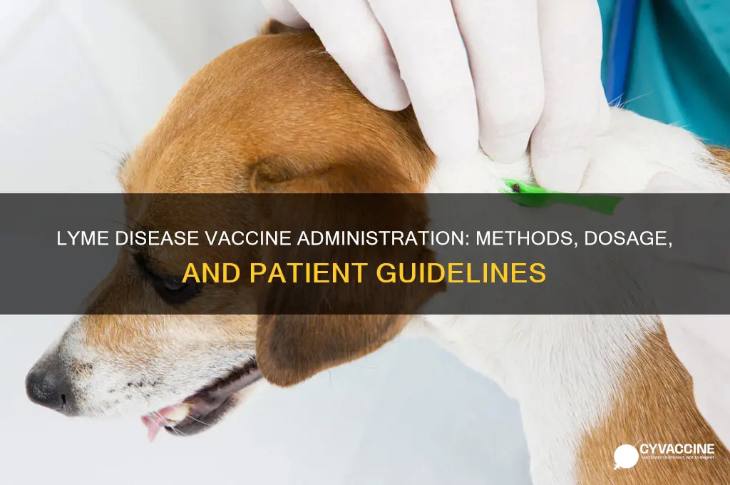 how is the vaccine for lyme disease administered