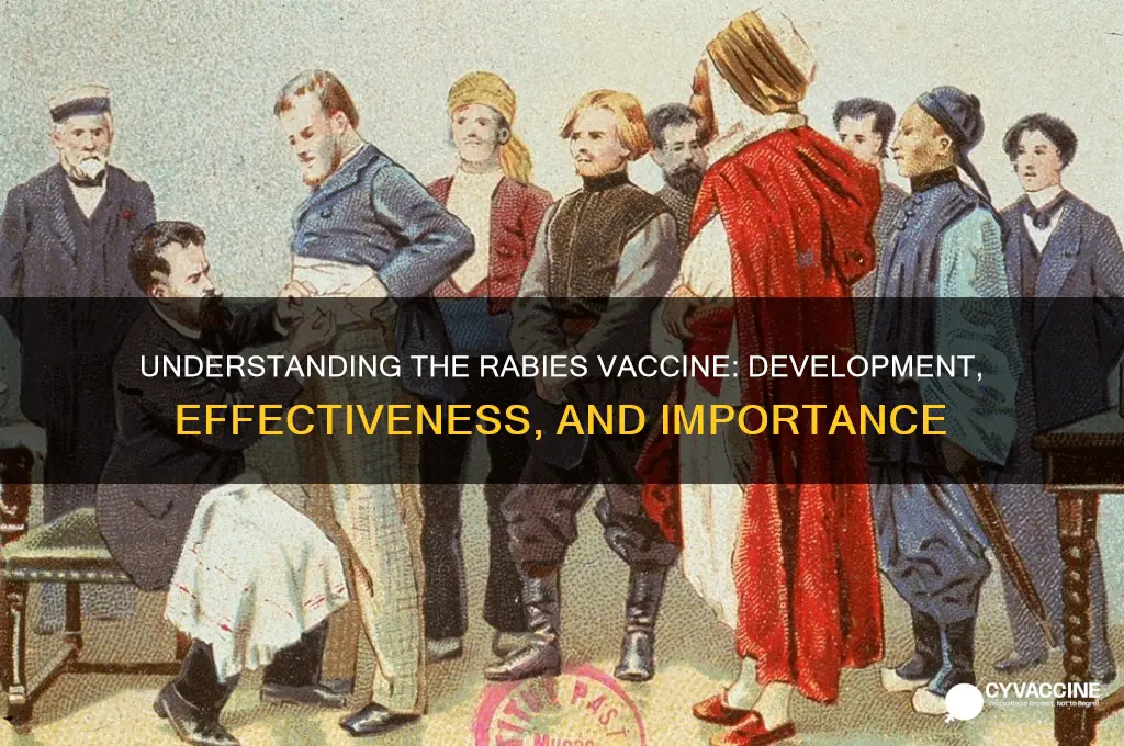 how is the vaccine for rabies