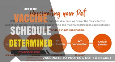 Understanding the Science Behind Vaccine Scheduling for Optimal Immunity