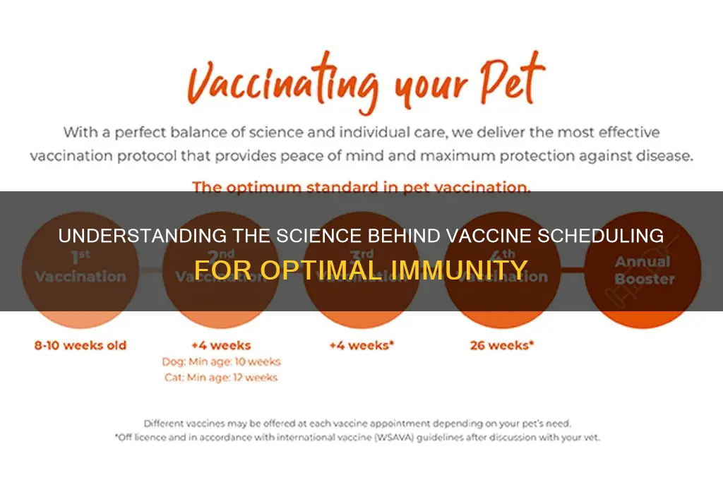 how is the vaccine schedule determined