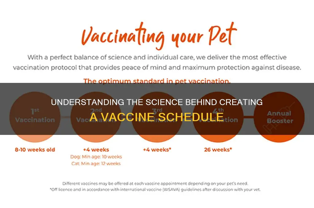 how is the vaccine schedule made