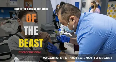 Is the COVID-19 Vaccine Linked to the Mark of the Beast?