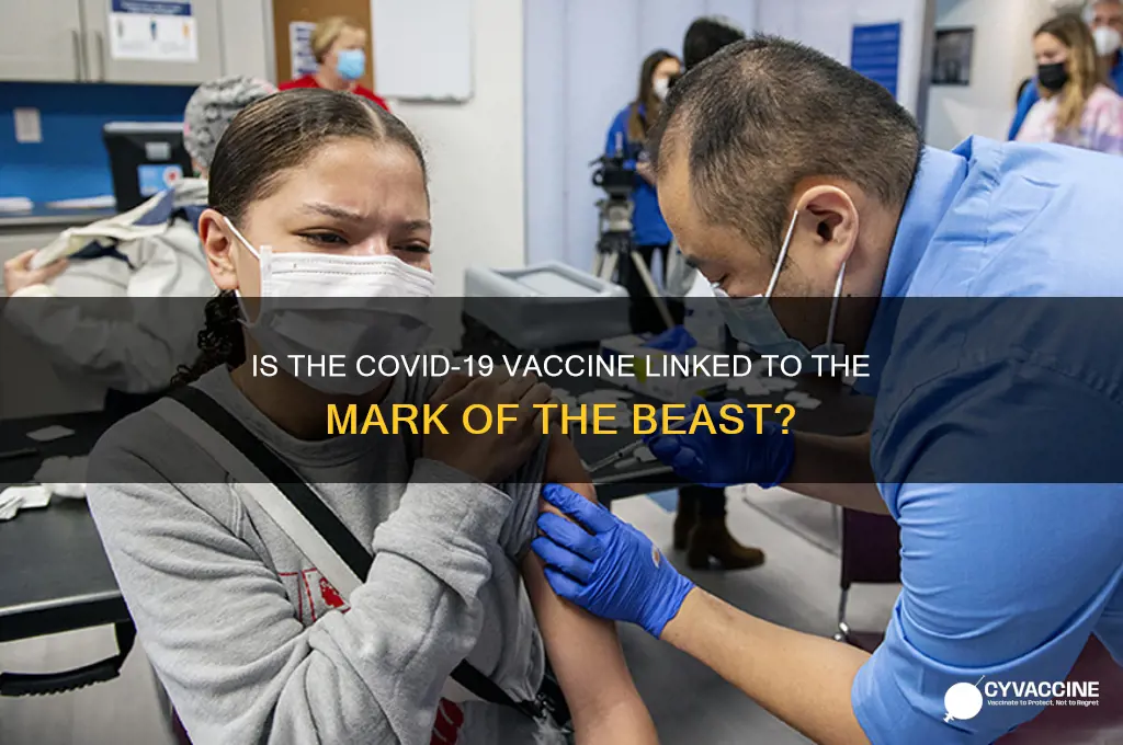 how is the vaccine the mark of the beast