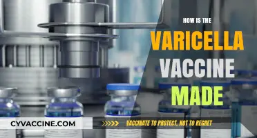 Understanding the Varicella Vaccine: Production Process and Key Components