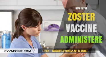 Understanding Zoster Vaccine Administration: Methods, Dosage, and Best Practices