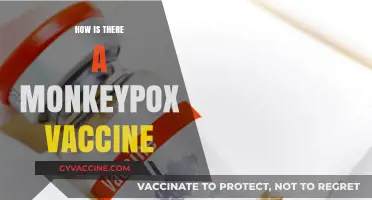 Monkeypox Vaccine: Origins, Development, and Global Health Impact Explained