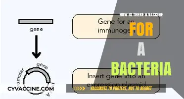 Understanding Bacterial Vaccines: How Science Creates Immunity Against Bacteria