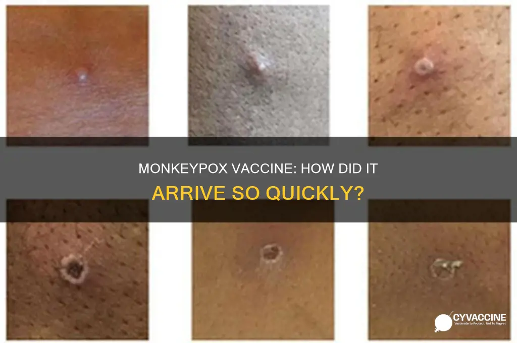 how is there a vaccine for monkeypox already