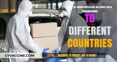 Transportation Challenges in Global Vaccine Distribution: Overcoming Logistics Hurdles