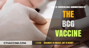Understanding BCG Vaccine Administration for Tuberculosis Prevention and Control