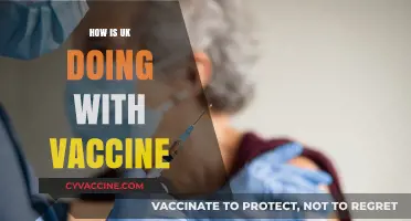 UK's Vaccine Rollout: Progress, Challenges, and Global Impact
