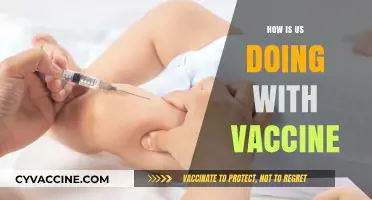 U.S. Vaccine Progress: Successes, Challenges, and What’s Next