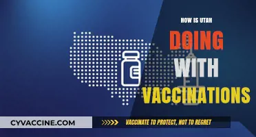 Utah's Vaccination Progress: Successes, Challenges, and Future Outlook