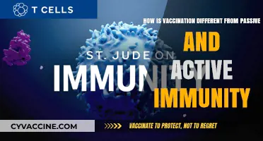 Vaccination vs. Passive/Active Immunity: Understanding the Key Differences