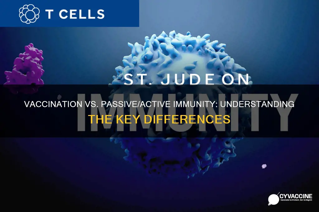 how is vaccination different from passive and active immunity