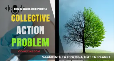 Vaccination Policy: A Collective Action Problem