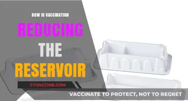 Vaccination's Impact: Reducing Disease Reservoirs and Protecting Public Health