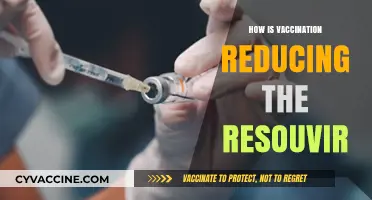Vaccination's Impact: Reducing Resurgence and Saving Lives Effectively