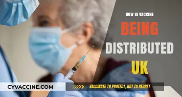 UK Vaccine Rollout: Distribution Strategies and Priorities Explained