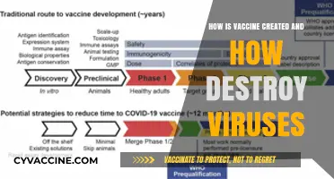 Vaccine Development: How They're Made and Viruses Destroyed