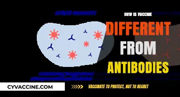 Vaccines vs. Antibodies: Understanding Their Unique Roles in Immunity