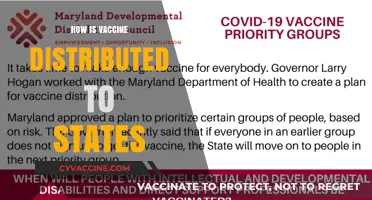 Understanding the Complex Process of Vaccine Distribution to States