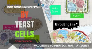 Synthetic Vaccine Production: Yeast Cells' Role in Lab-Made Immunization