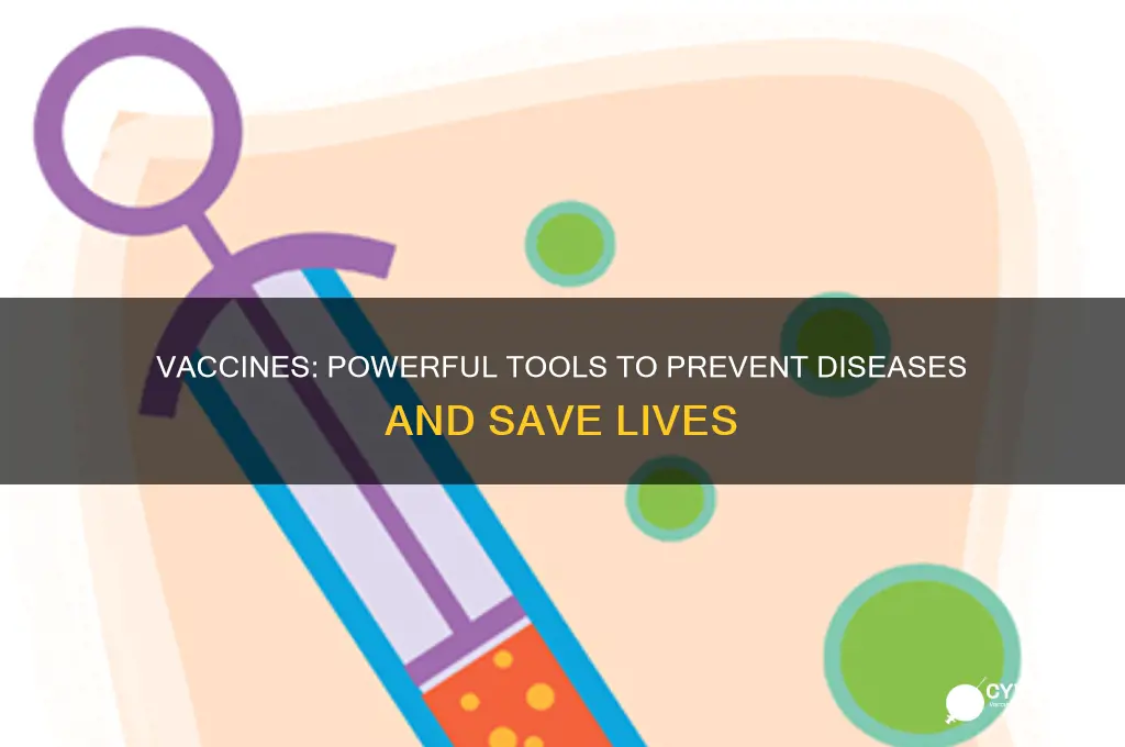 how is vaccine helpful to prevent the occurrence of diseases