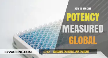 Global Vaccine Potency Measurement: Standards, Methods, and Challenges Explained