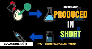 Vaccine Production Simplified: A Concise Guide to Manufacturing Process