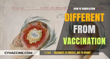 Variolation vs. Vaccination: Key Differences in Historical Immunization Methods