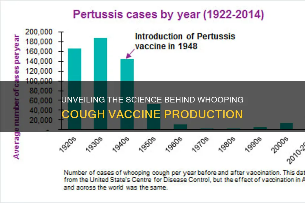 how is whooping cough vaccine made