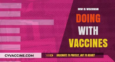 Wisconsin's Vaccine Progress: Successes, Challenges, and Future Outlook