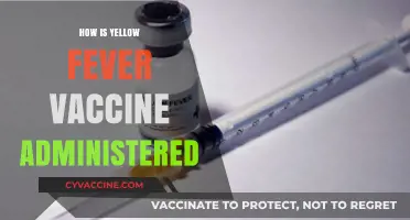 Yellow Fever Vaccine: Administration Methods, Dosage, and Safety Tips