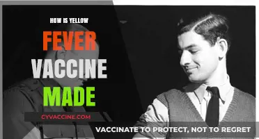 Understanding the Production Process of the Yellow Fever Vaccine