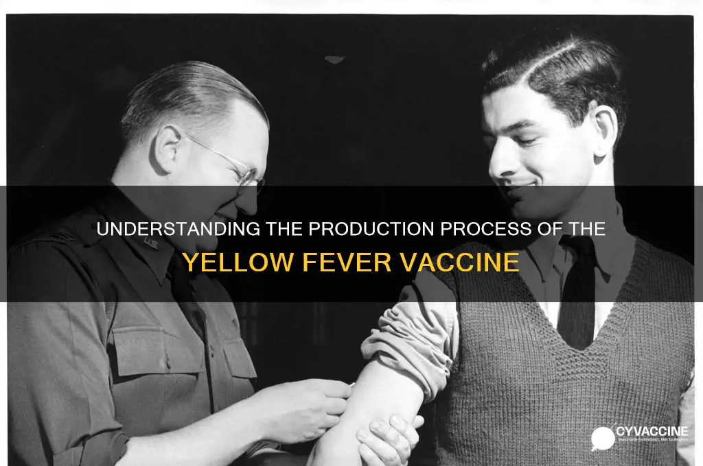 how is yellow fever vaccine made
