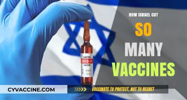 Israel's Vaccine Success: A Strategic Approach to Rapid Immunization