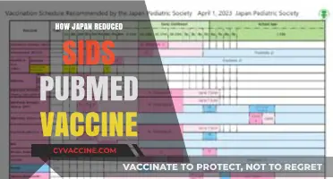 Japan’s SIDS Reduction Strategy: PubMed Insights on Vaccines and Prevention