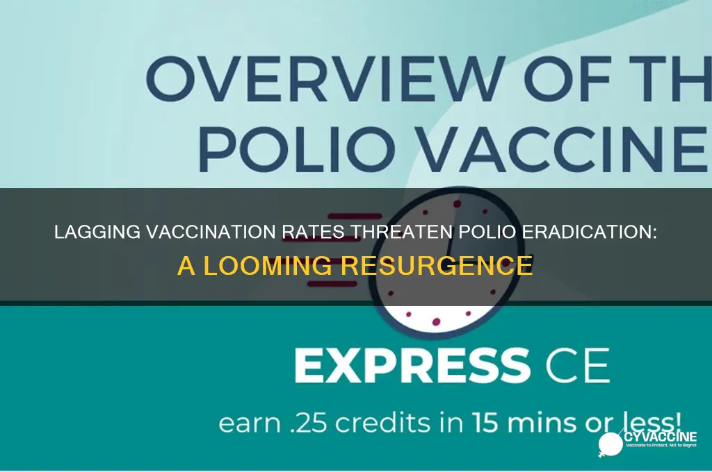 how lagging vaccination could lead to a polio resurgence