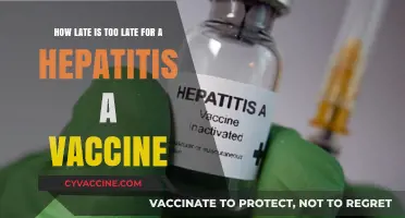 Is It Too Late for a Hepatitis A Vaccine? Find Out Now